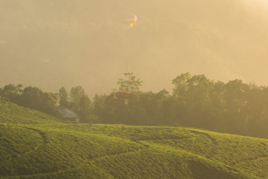 Darjeeling Skkim 6 Nights 7 Days